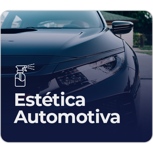 cat estetica automotiva